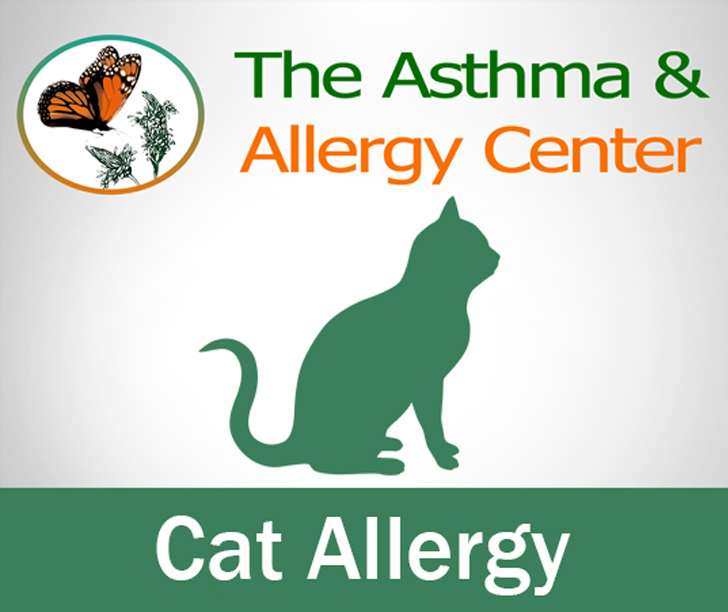 Cat Allergy