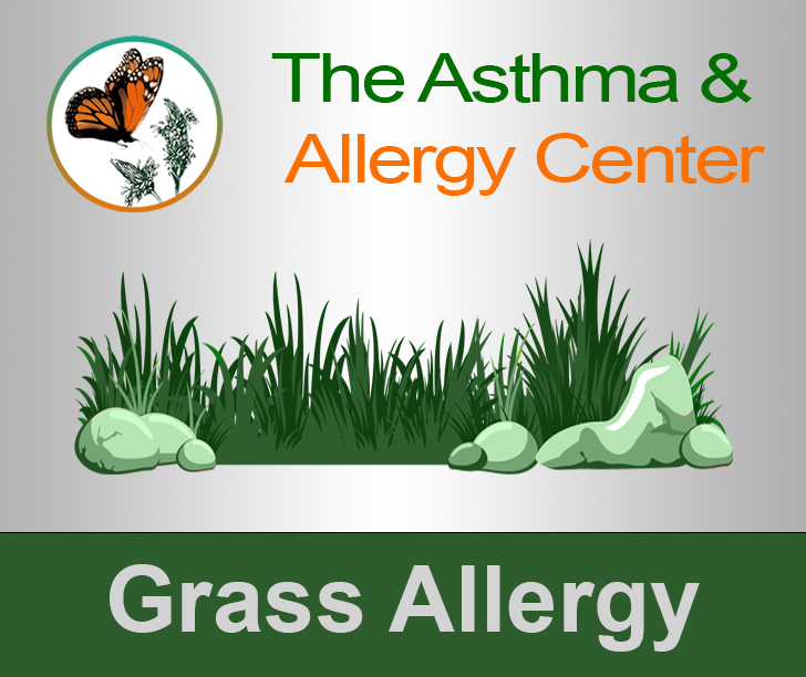 Grass Allergy Study